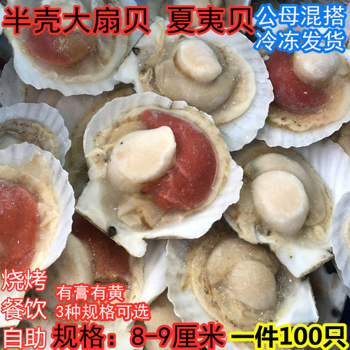 烧烤用粉丝扇贝肉质肥满坏单包赔
