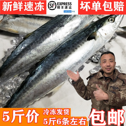 新鲜速冻海鲜冷冻大鲅鱼马鲛鱼台鲅燕鲅野生海鱼自制鱼丸非咸鱼干