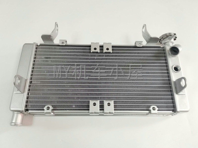 适用摩托车黄龙600巡航国宾bj600gs-5b摩托车水箱总成水冷散热器