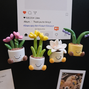 韩国可爱花朵盆栽冰箱贴磁贴2026新款创意洞洞板装饰展示磁吸摆件