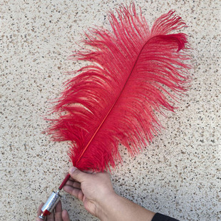 大卫魔术道具鸵鸟毛变棒羽毛变弹棒舞台走秀魔术棒公司年会表演