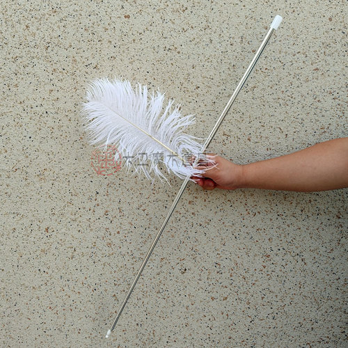 大卫魔术羽毛变棒走秀T台魔术棒