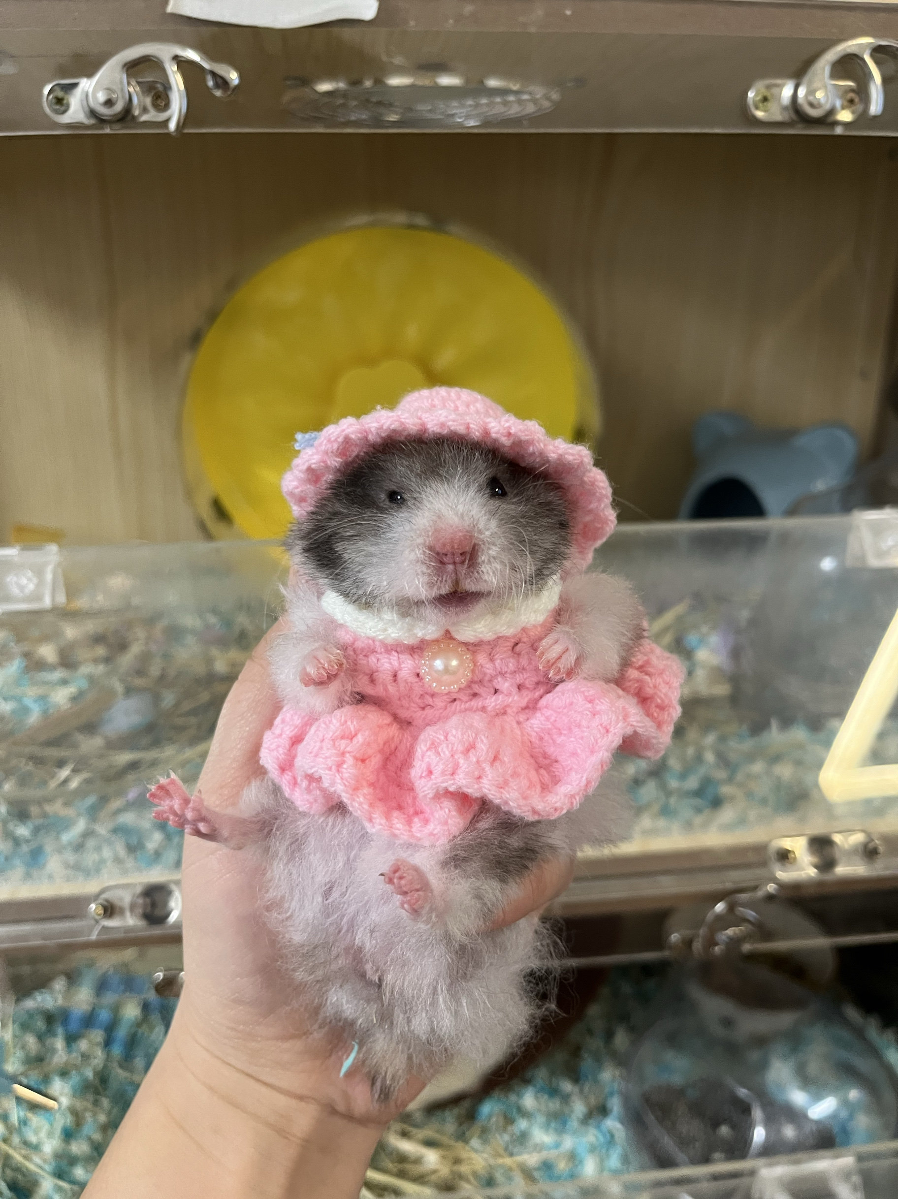 手工钩织仓鼠金丝熊衣服连衣裙