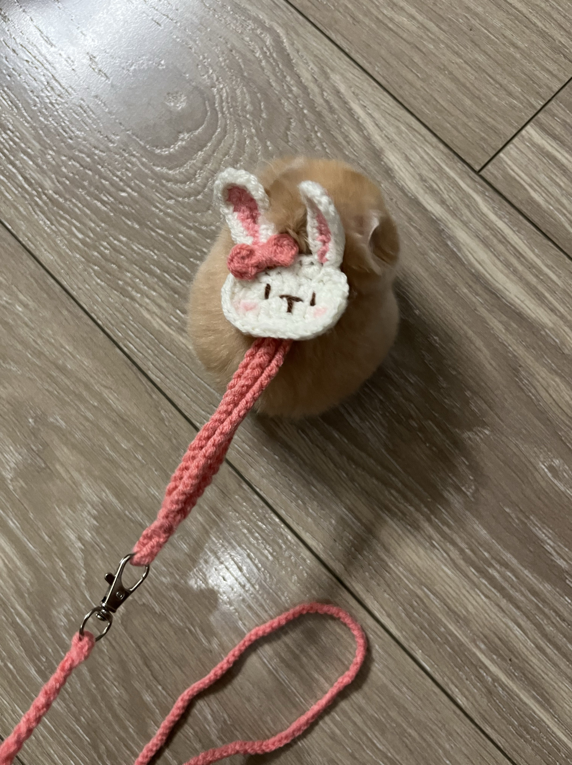 毛线钩织仓鼠金丝熊花枝鼠小宠可拆卸牵引绳溜鼠绳