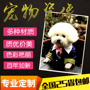 定做高温激光瓷像瓷杯订制宠物瓷像照片小动物瓷像进口瓷板 包邮