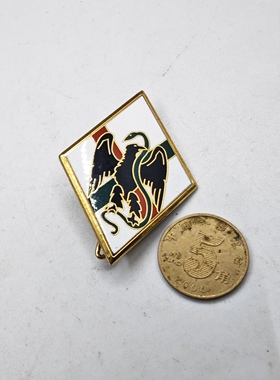 法国外籍军团第1步兵团证章