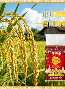 正宗泰国茉莉香米长粒大米新大米