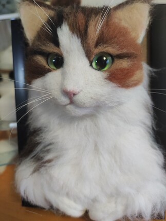 [新品188起，来图定制]羊毛毡成品猫猫 狗狗仓鼠熊猫均可以制作