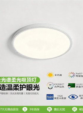 温柔阳光全光谱吸顶灯现代简约