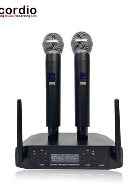 9Recordio GAW-GLXD4防啸无线话筒一对二舞台演唱KTV音响