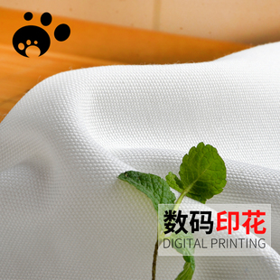 样卡89# 超厚帆布/数码印花定制布料加工/手袋化妆包箱包桌布面料