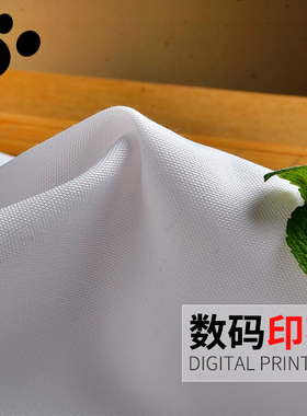 样卡42#行路者细帆布沙发布抱枕手提包布料面料/数码印花