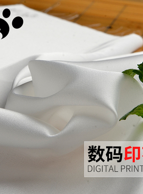样卡44# 弹力缎面雪纺 亮面 数码印花 布料 面料 丝巾 顺滑