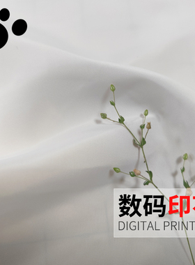 样卡207#200D加捻高密防水仿记忆无弹平纹本白羽绒夹克印花面料