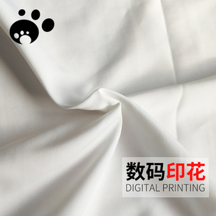 样卡141#大鹅/鹅牌 数码印花 布料 面料 风衣 夹克 印花 定制