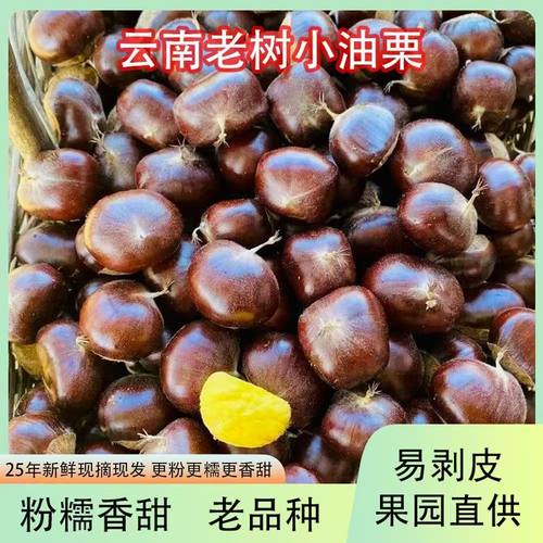 板栗生新鲜云南油板栗2025年新货