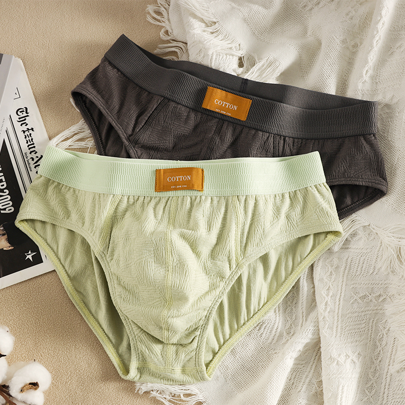 男士内裤三角短裤纯棉低腰性感大码男生2025新款复古运动三角裤头