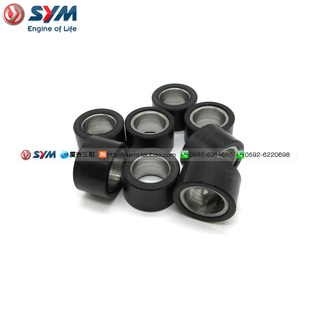 SYM 厦杏 三阳机车 MAXSYM TL500 重垂滚子 配重滚子 普利珠