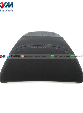 SYM 厦杏 三阳机车 MAXSYM TL 500 508 中靠背 靠垫