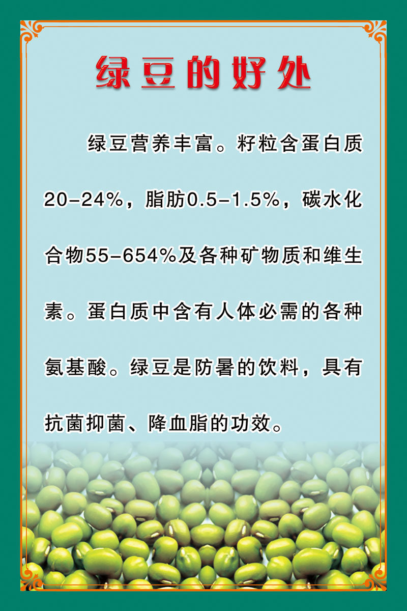 653益智挂图海报展板素材973饮食文化绿豆的好处营养价值宣传