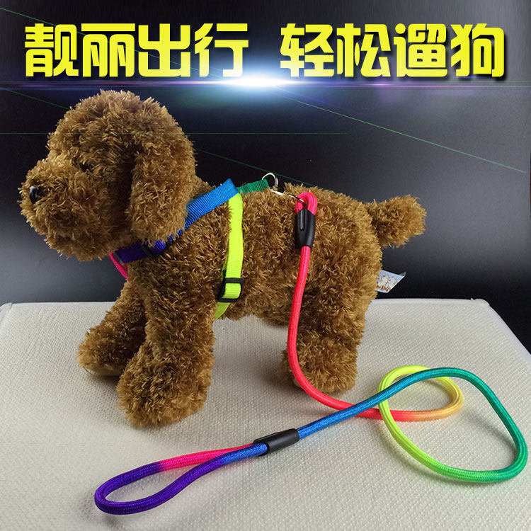 包邮宠物狗狗牵引绳中小型犬萨摩耶比熊贵宾泰迪七彩胸背带狗链子