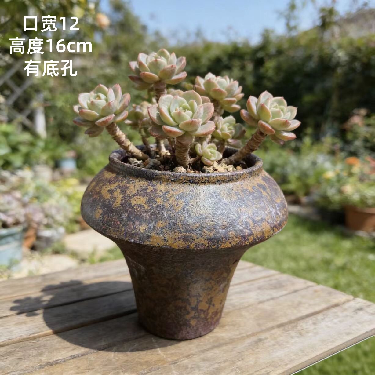 手工粗陶花盆紫砂复古透气多肉蝴蝶兰盆多肉单头异形盆大号矮胖盆