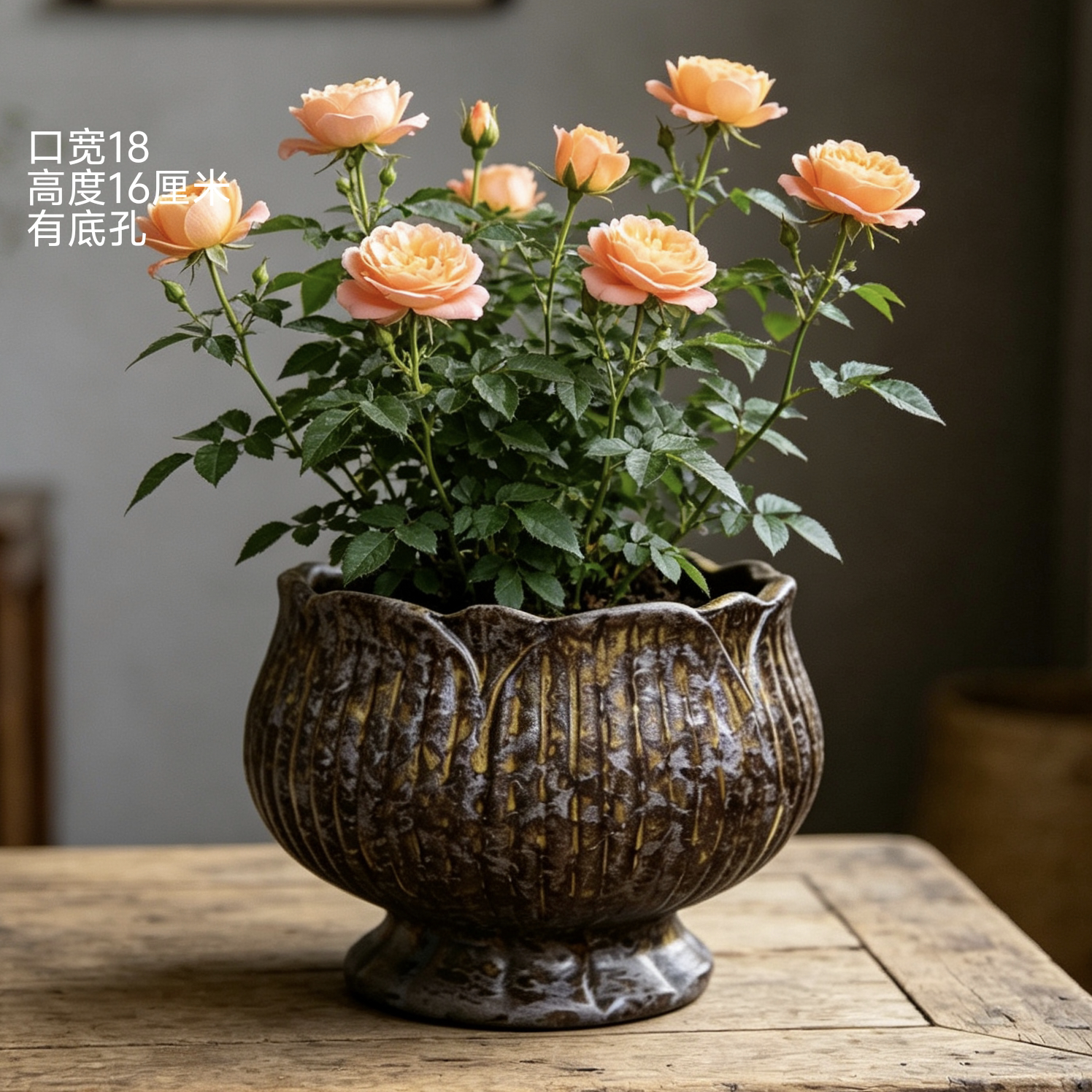 粗陶花盆复古透气多肉花盆兰花蝴花盆