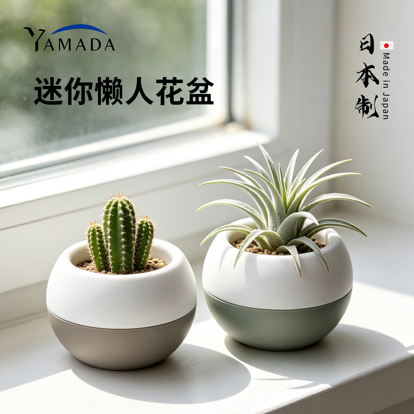 日本进口多肉植物花盆小盆栽办公室桌面花卉绿植花盆仙人球透气