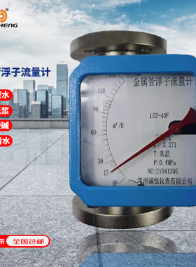 诚恒仪表金属转子流量计LZZH/LZDH LZD金属管浮子流量计LZZH-15