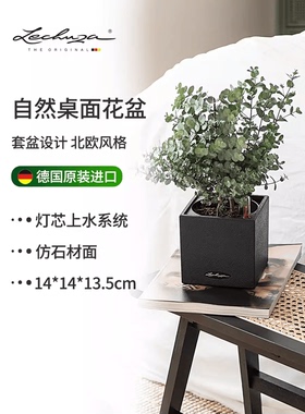 Lechuza德国进口家用花盆自动灌溉树脂桌面创意简约储水canto系列