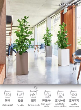 Lechuza德国进口自吸水地面高档储水方形大口径落地花盆canto系列