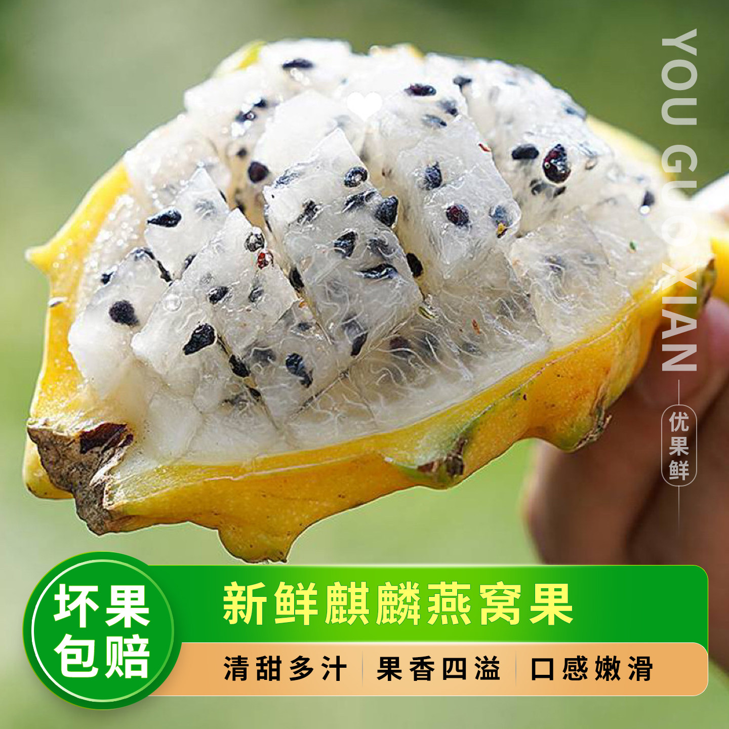 新鲜麒麟燕窝果，礼盒装顺丰包邮