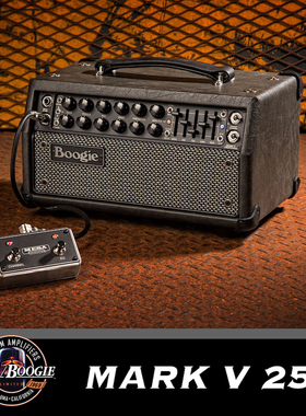 Mesa Boogie MarkV 35/25 全电子管吉他音箱【多利乐器】亚登行货