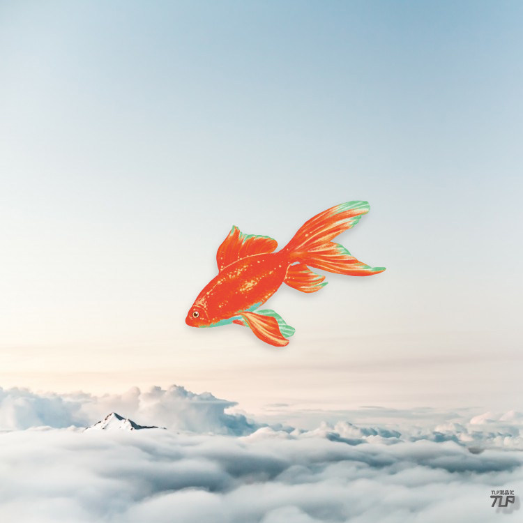 TLP反光贴纸 鲤鱼金鱼宠物水族 中国风水墨画国画 平面平板防水贴,3C数码配件,笔记本炫彩贴,淘宝优惠券,粉丝福利购,淘宝优惠卷