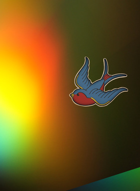 TLP反光车贴 燕子Swallow汽车纹身鸟类动物图腾防水遮痕即时贴纸