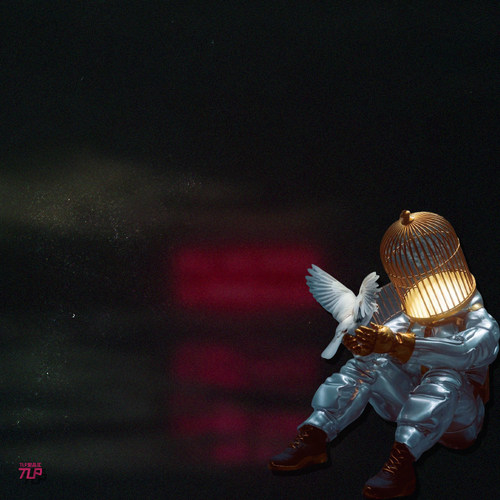 TLP反光贴纸 心情切片系列 和平鸽金色鸟笼宇航员太空人 平面贴纸