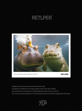 RETLPER反光车贴 原创河马鳄鱼鸭鸭合照自拍入乡随俗拍立得风贴纸