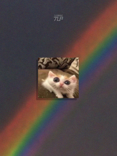 沙发上的潦草猫贴纸像素版搞笑