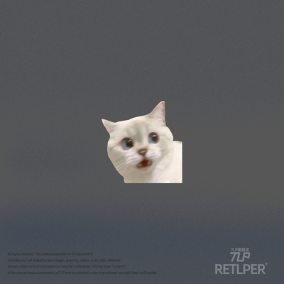 RETLPER反光贴纸 吓到猫 可爱宠物白猫meme汽摩装饰平面防水贴纸