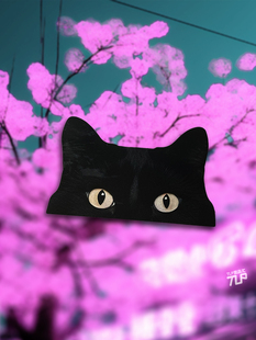 原创 饰 黑猫隐身 防水遮痕装 平面贴纸 可爱宠物 TLP反光车贴