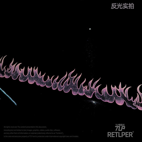 RETLPER镂空火焰防水中柱车贴
