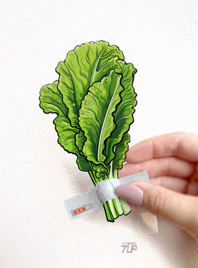 TLP反光车贴 原创 生财发财 生菜胶带吉利立体感防水平面遮痕贴纸