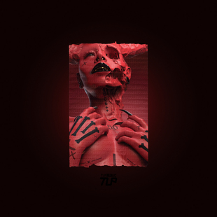 暗黑圣母森山大道耳语sic闪光英文 胶带补丁贴 TLP反光车贴 XXX季