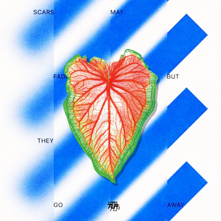 tlp系列叶片平面贴纸反光车贴