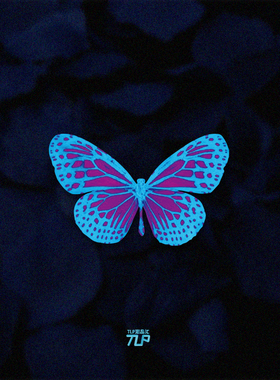 TLP反光贴 彩色蓝色蝴蝶 立体感 平板平面遮盖遮痕 头盔防水贴纸
