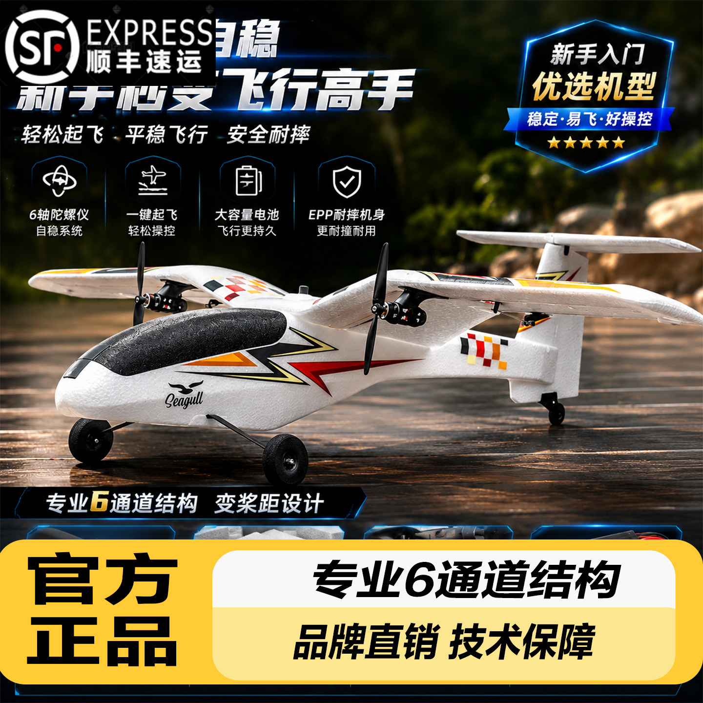 新手易学固定翼ESKY鸿雁遥控飞机图片
