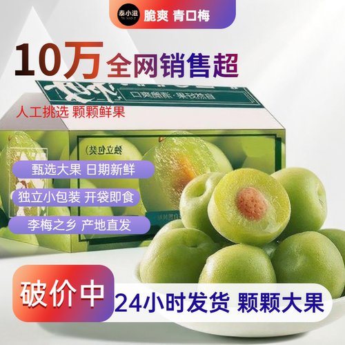 福建特产青口梅脆梅青梅500g