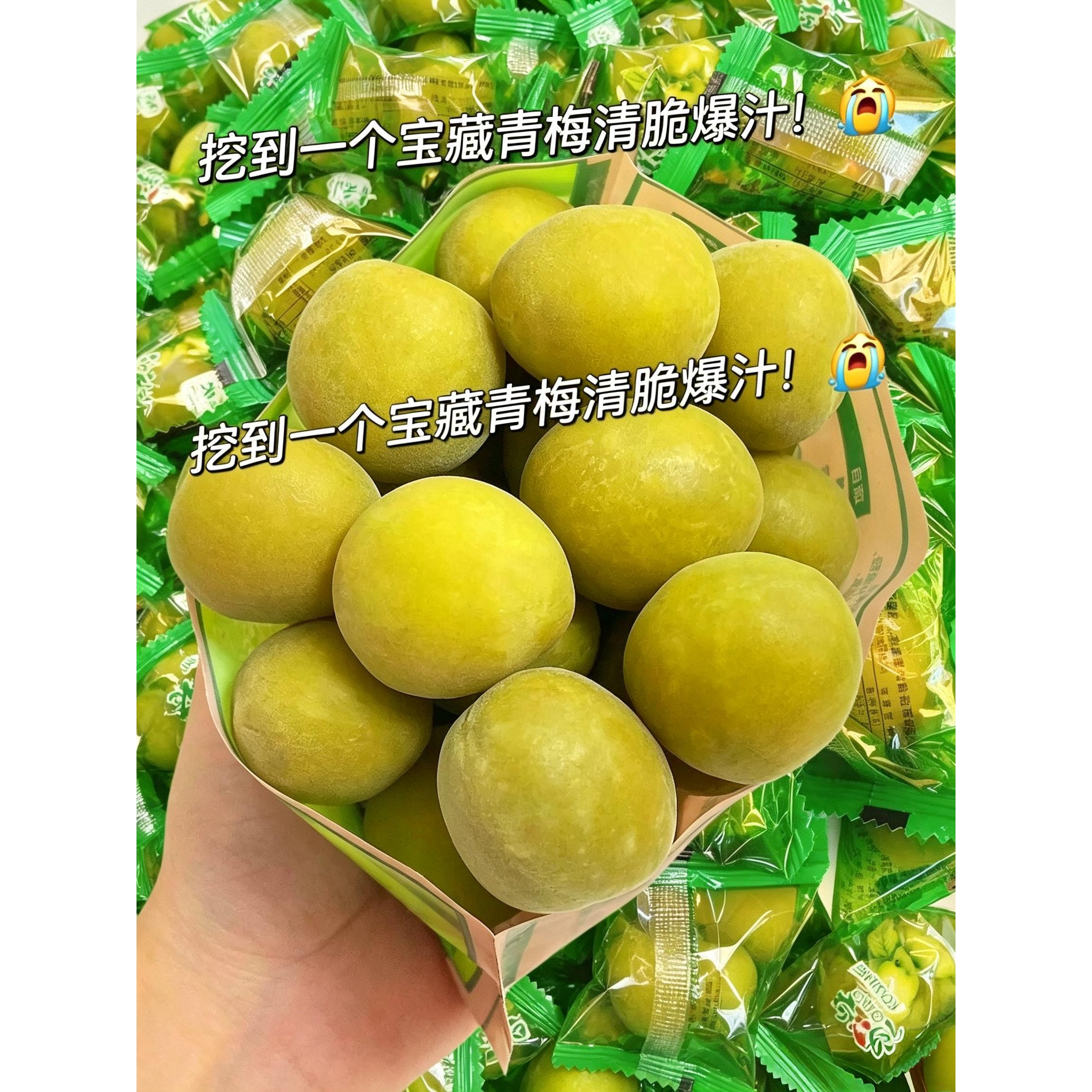 特大颗青梅脆青梅500g酸甜清脆梅青口梅蜜饯独立包装梅子解馋零食