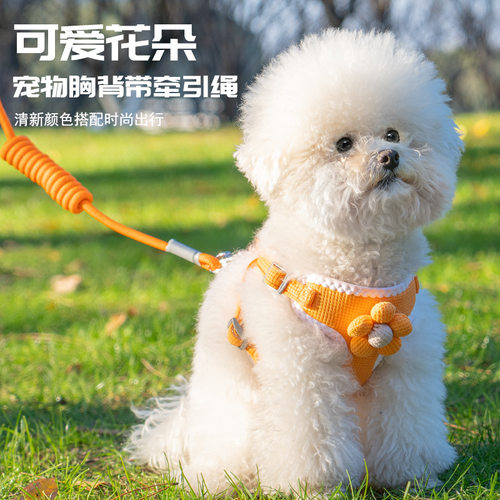 狗狗牵引绳背心式泰迪比熊小型犬胸背带猫咪遛兔子绳链宠物用品
