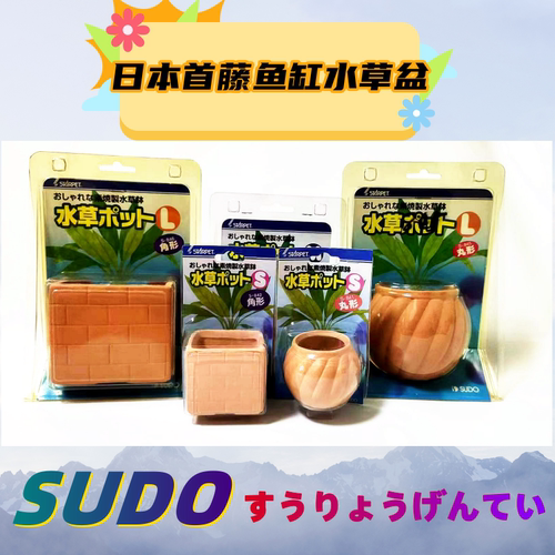 首藤鱼缸水草盆造景盆水草种植